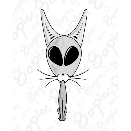 Ufo cat